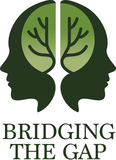 Bridging the Gap